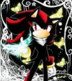 /album/shadow-the-hedgehog/images-6-jpg/